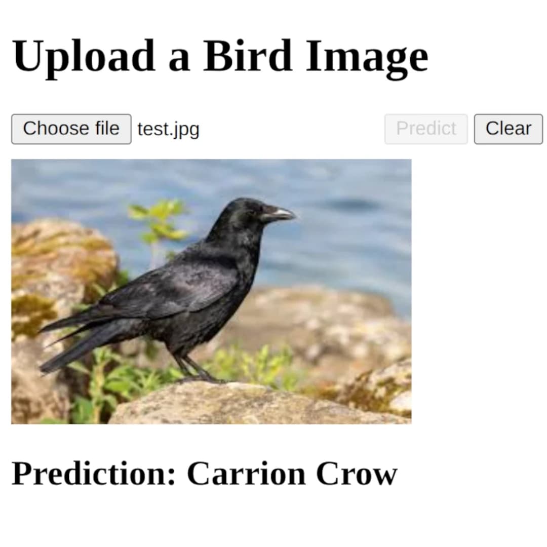 Project screenshot 1